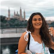 Doy clases de inglés y francés